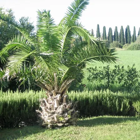 Appartamento Le Camelie 132s *